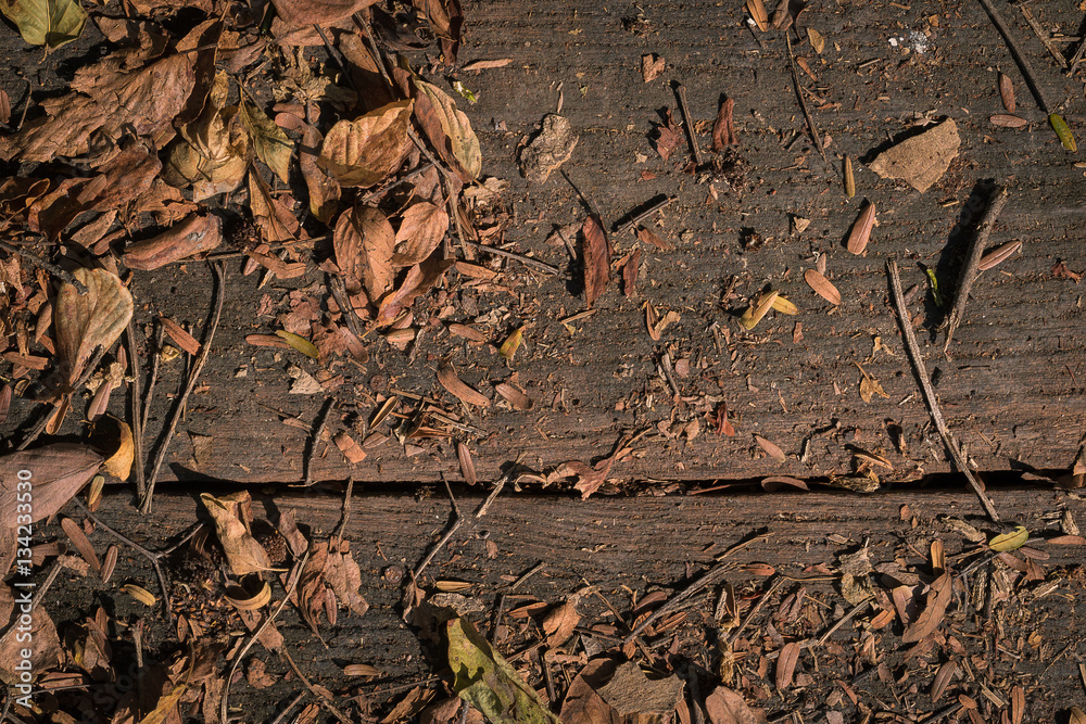 Wooden background with dry leaves and branch Wooden background with dry leaves and branch