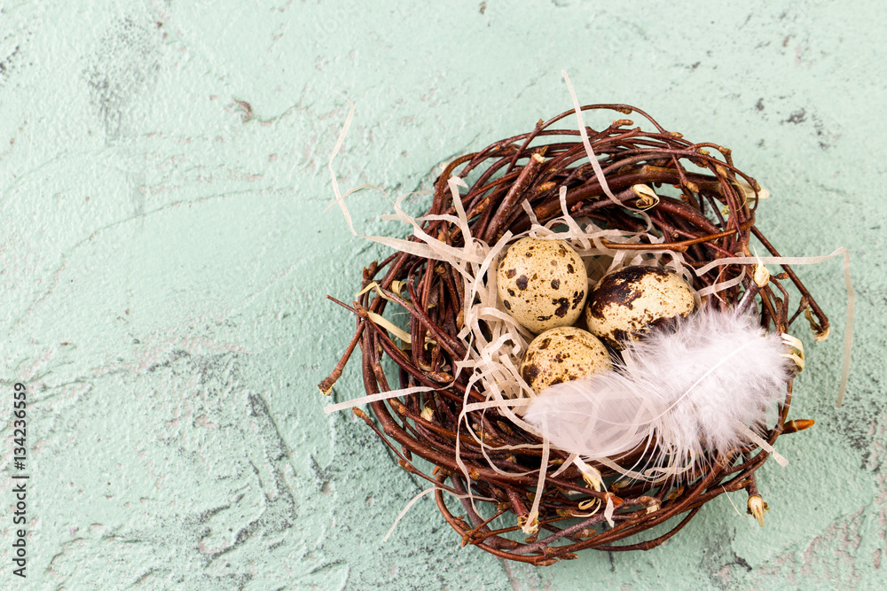 Fototapeta premium Three eggs in the nest for easter