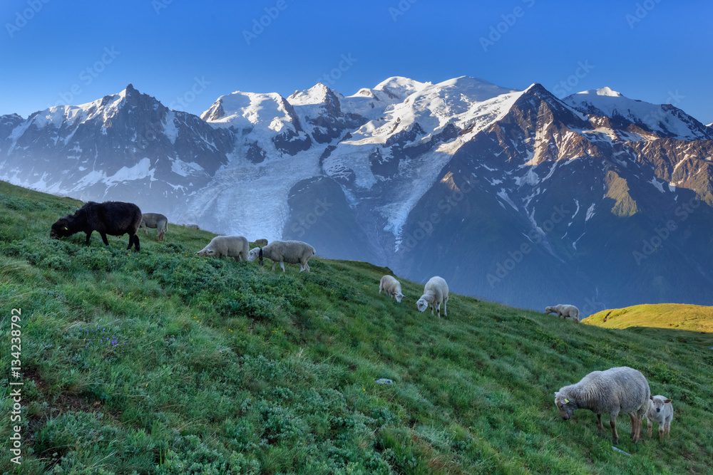 Obraz premium Mont Blanc, France