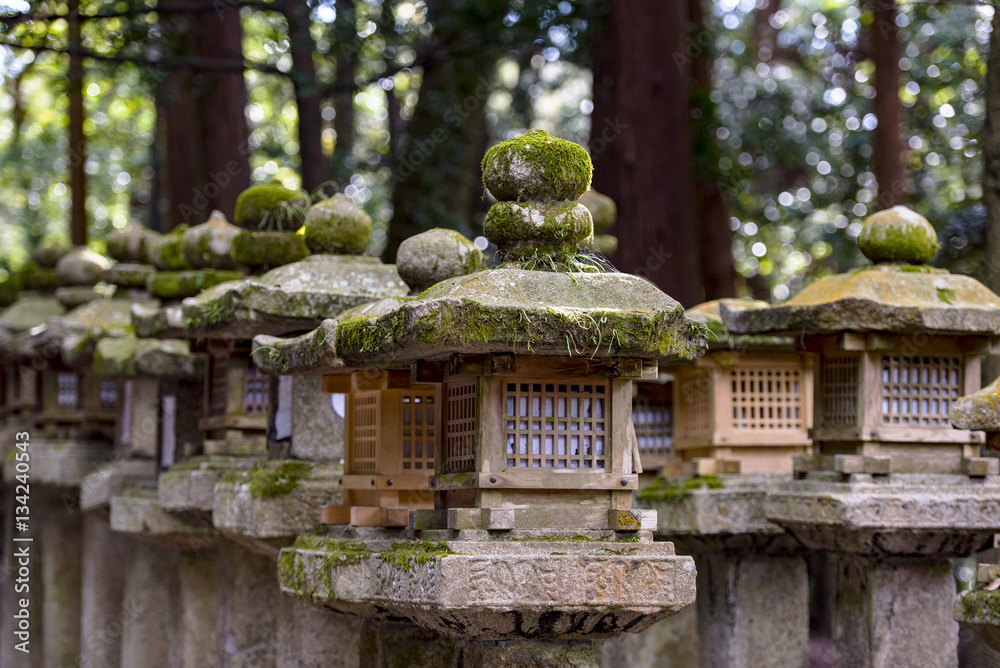 Rows of ancient stone and wooden lanterns Toro covered in moss in Nara Rows of ancient stone and wooden lanterns Toro covered in moss in Nara