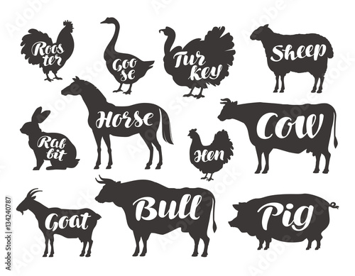 Farm animals  vector set icons. Collection of silhouettes such as horse  cow  bull  sheep  pig  rooster  chicken  hen  goose  rabbit  turkey  goat