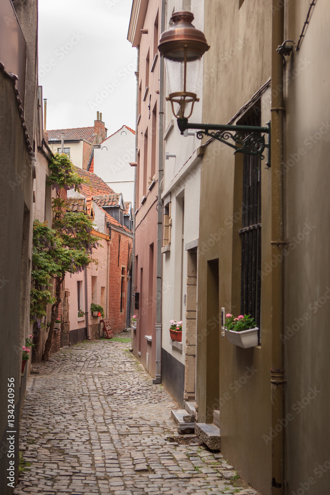 cobbled streets of Brussels