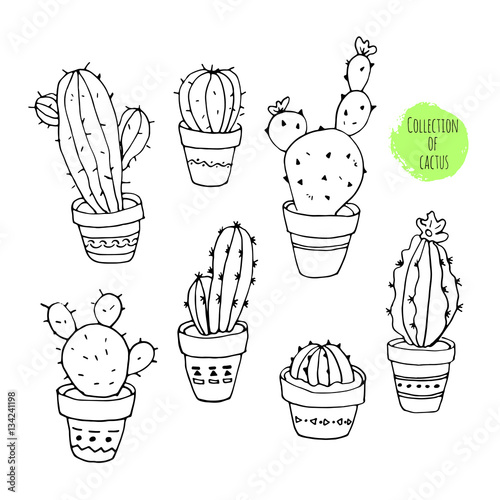 Vector collection of cactus. Hand drawn cartoon Illustration.
