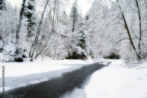 Frozen river in winter forest photo