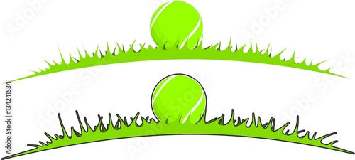 Tennis ball in the grass