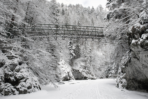 Empty bridge over frozen river in forest