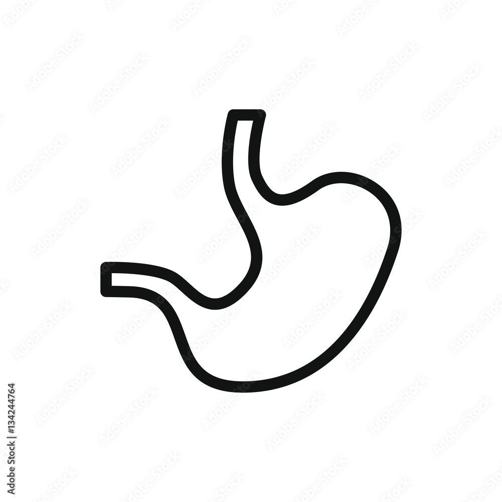 stomach icon illustration