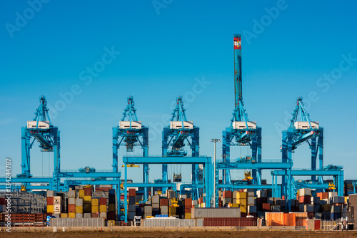 Large Cranes at Container Terminal in Harbour of Rotterdam, Netherlands. photo