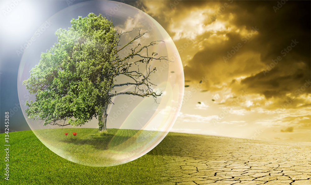 Die Umwelt schützen. Stock-Foto | Adobe Stock