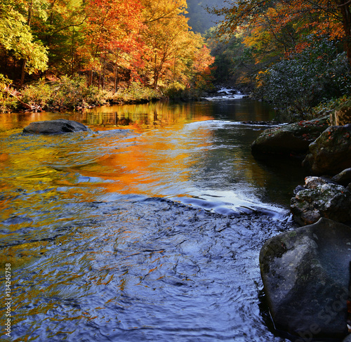 Fall Reflections