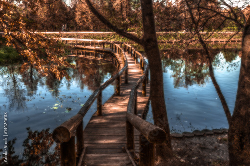 Absolutely senseless bridge through a short pond became romantic for appointments and kisses photo