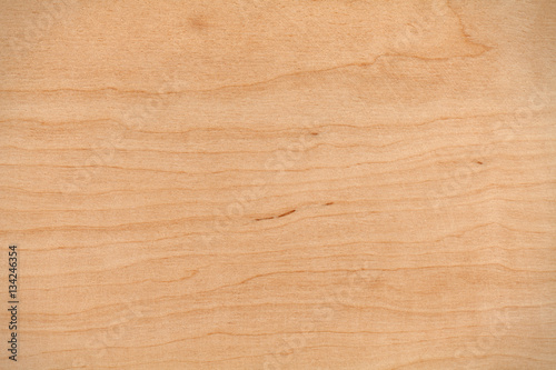 Wood texture. Plywood sheet.
