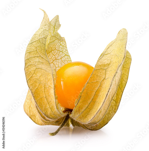 cape gooseberry isolated on the white background