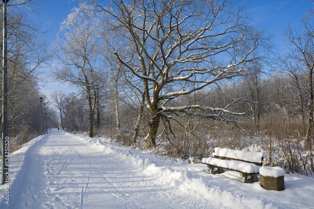 Snowbound boardwalk on Wegorapa river's bank in Wegorzewo, Mazury, Poland