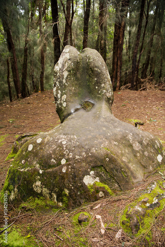 Phallic Rock in Pala'au State Park Molokai photo