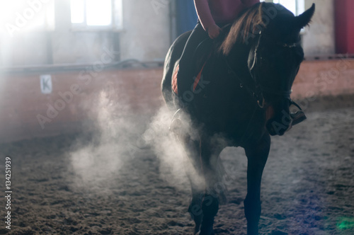 Fényképezés Horse portrait exhale in manege