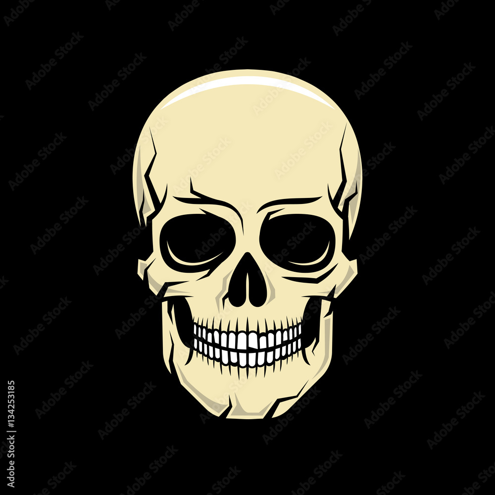 Colorful cartoon realistic skull on a black background. Vector illustration.