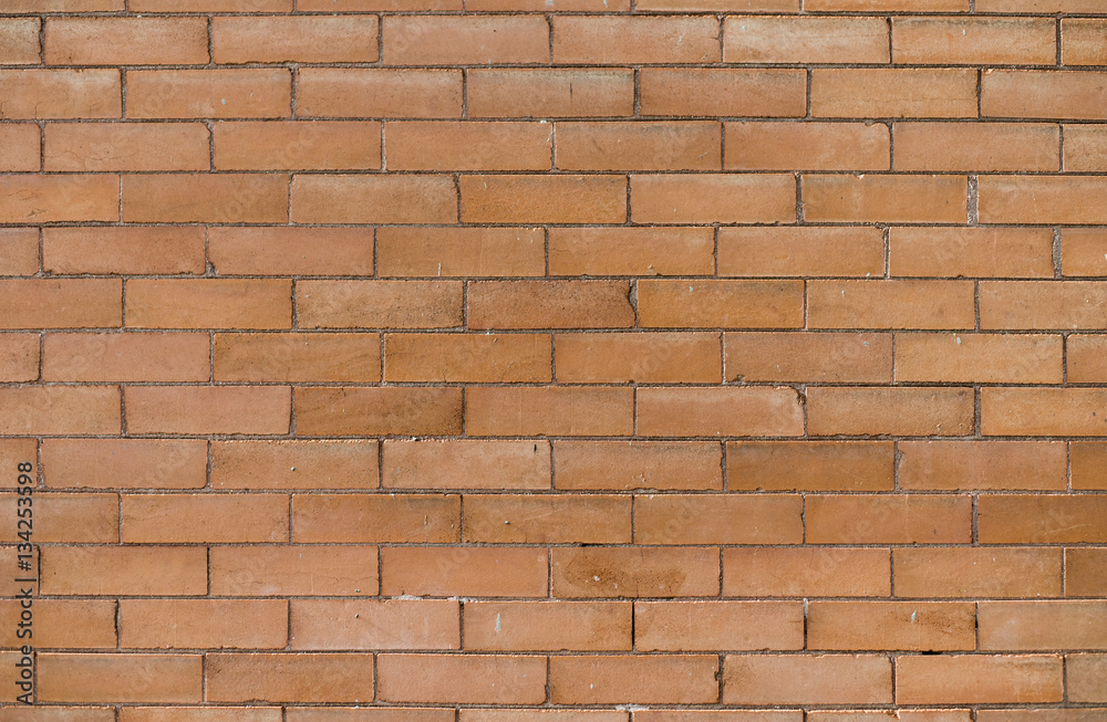 Obraz premium Brick Wall