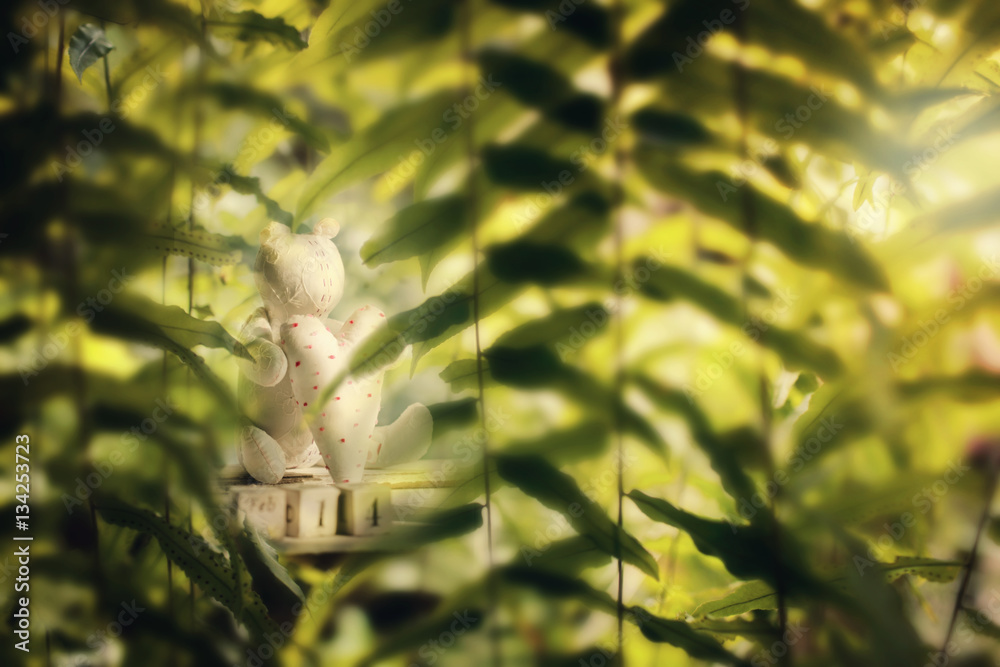 Obraz premium Blurry of little bear in fern garden,rainy day. background for Valentine's day. Selective focus and color toned.