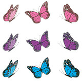 Vector Vintage Butterflies