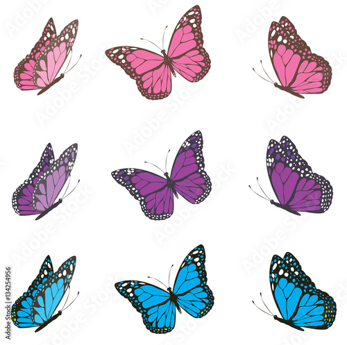 Vector Vintage Butterflies © peony