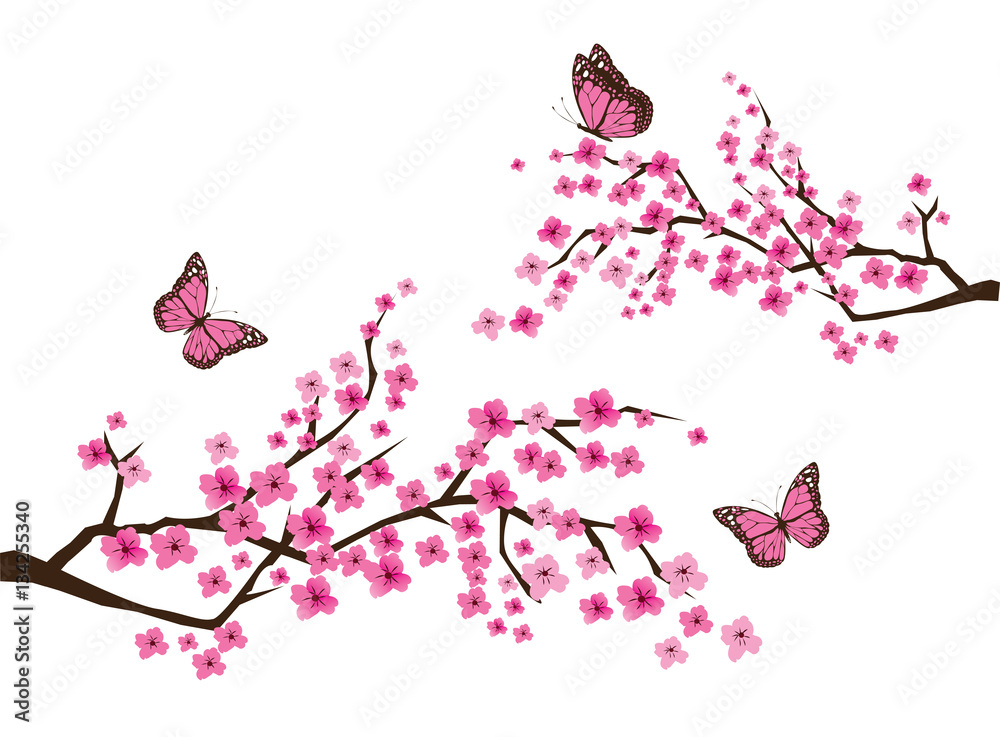 Fototapeta premium Vector Cherry Blossom