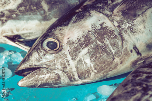 Tuna head at fishmarket