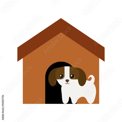 puppy domestic mammal brown house vector illustration eps 10