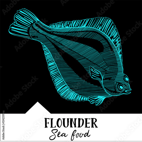 Hand drawn, vector illustration, design for a seafood restaurant menu. The picture shows the flounder on a black background.