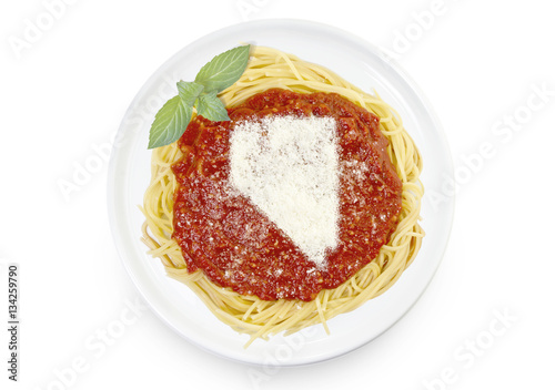 Dish of pasta with parmesan cheese shaped as Nevada.(series)
