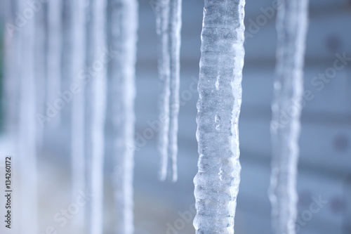 Winter background of icicles
