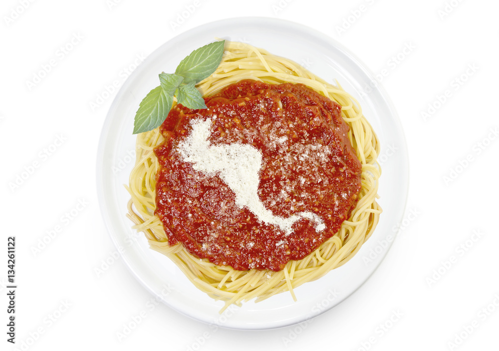 Dish of pasta with parmesan cheese shaped as Central America.(se Dish of pasta with parmesan cheese shaped as Central America.(se