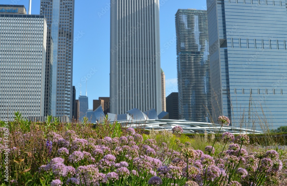 Chicago Chicago