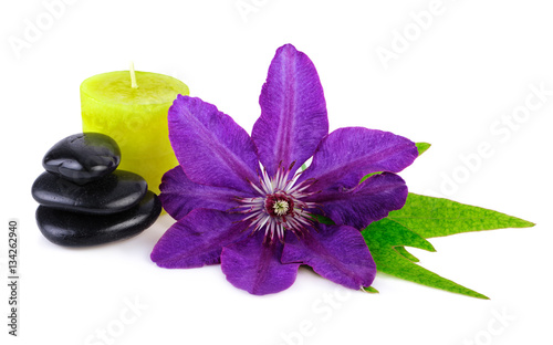 bright flower with spa stone and green candle on white