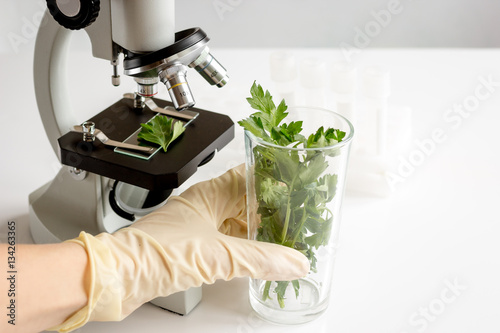 concept - check dietary supplements in laboratory on microscope