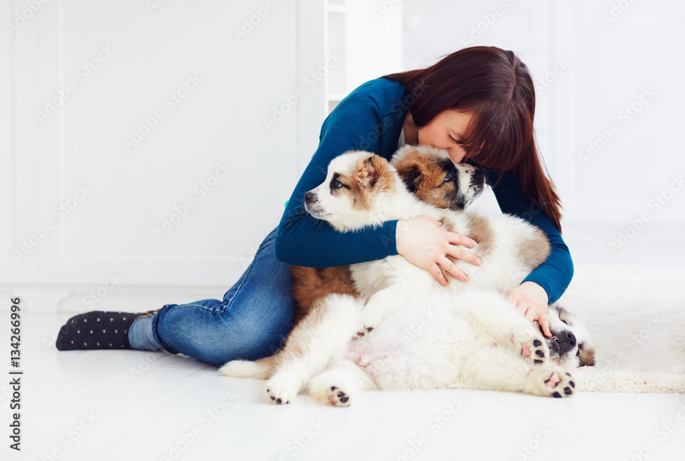 happy girl lies on carpet with caucasian shepherd puppies