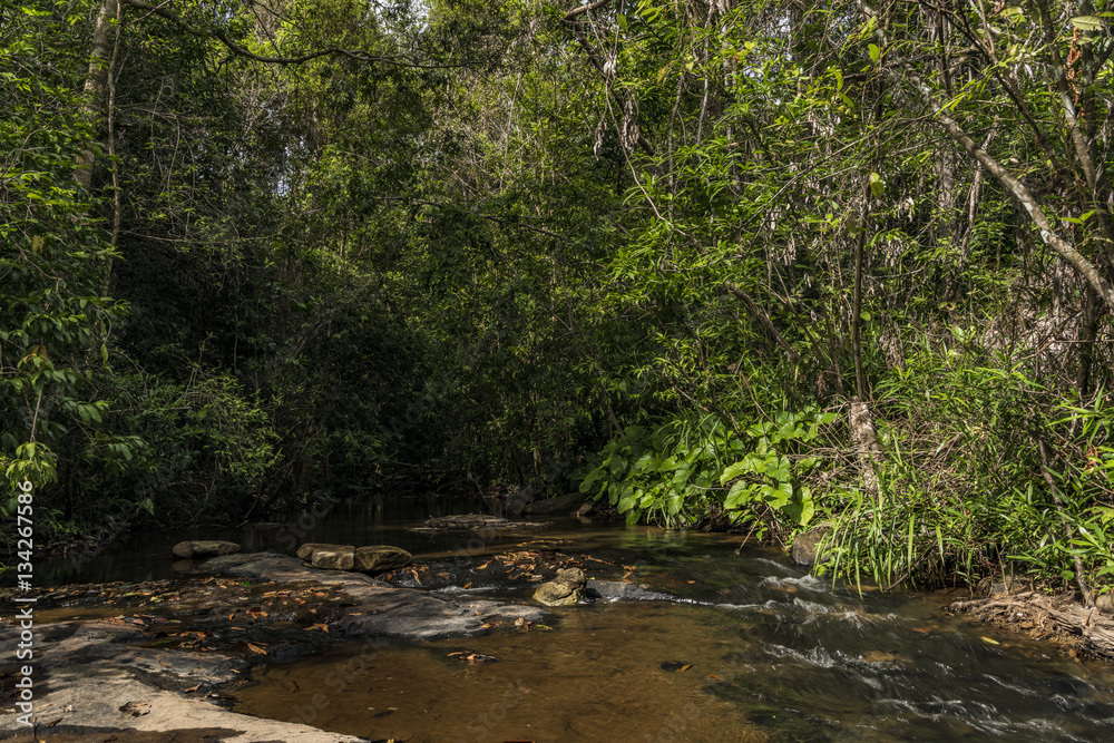 Kbal Spean waterfall and jungle in Cambodia mountains Kbal Spean waterfall and jungle in Cambodia mountains