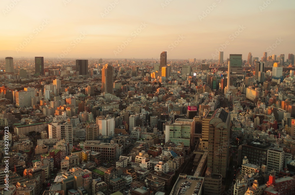 夕陽を浴びるの東京都心