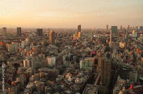 夕陽を浴びるの東京都心 © ほじん