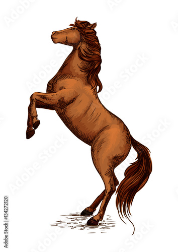 Equine horserace sport symbol of rearing horse