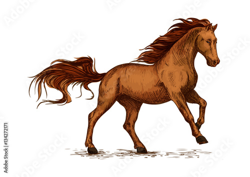 Horse running. Equine horserace sport symbol