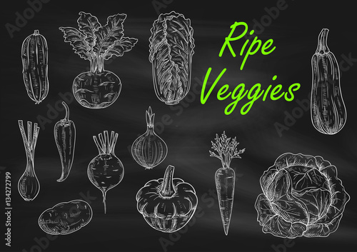 Vegetables chalk sketch on menu blackboard