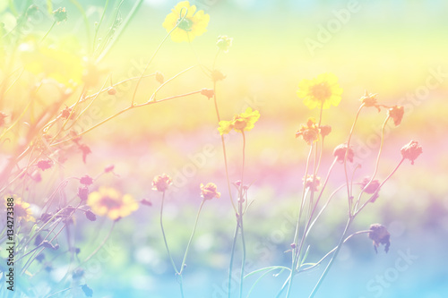 art backgroud of flower