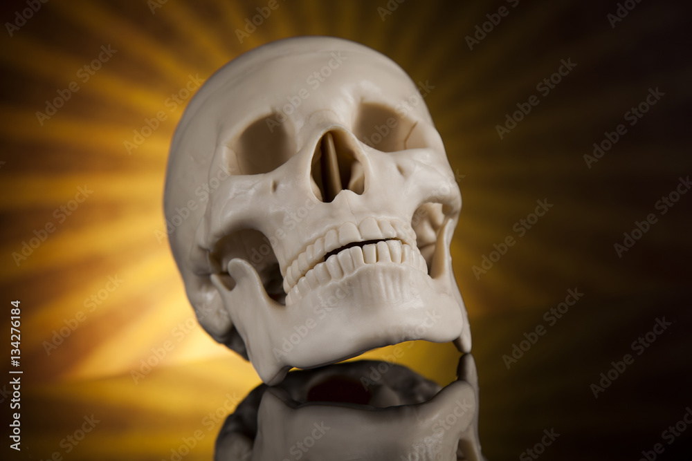 Obraz premium Human skull, black mirror background