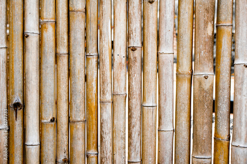 Background bamboo fence.