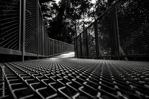 Fotografie, Tablou Metal footbridge, metallic walkway and corridor, steel bridge, perspective and v