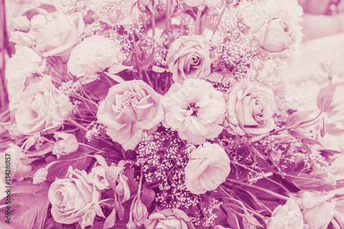 vintage pink rose flower for valentine or wedding postcard © Quality Stock Arts