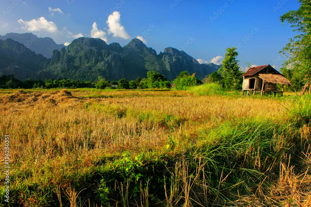 Farmer's hut on a field in Vang Vieng, Vientien Province, Laos