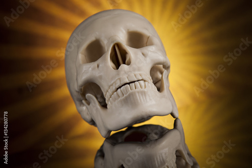 Human skull, black mirror background