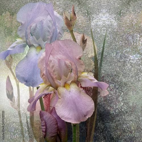 Fototapeta Naklejka Na Ścianę i Meble -  irises bouquet stylized design on dark background